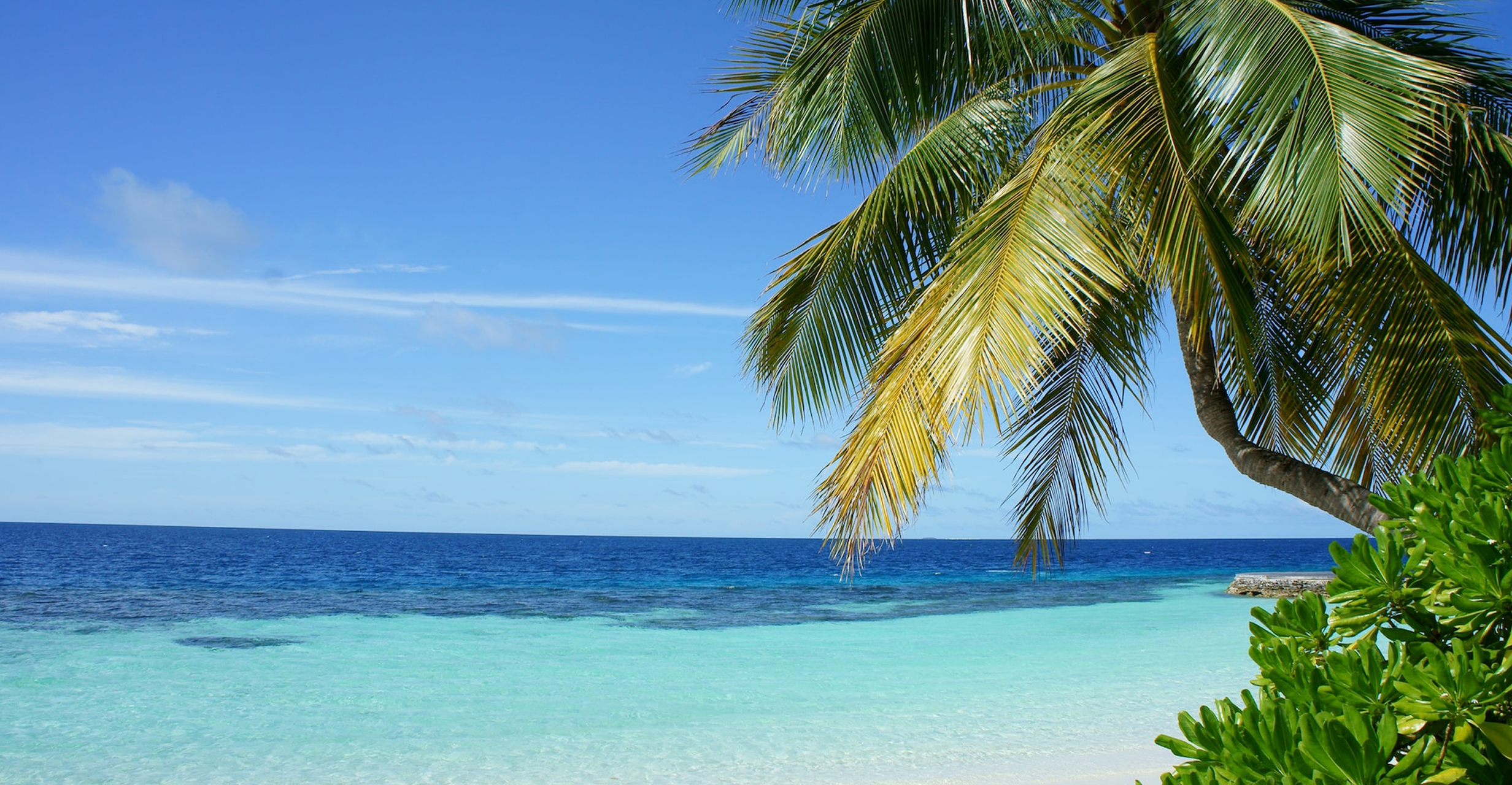 View of the sea and a beach